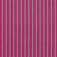 Fuchsia 12
